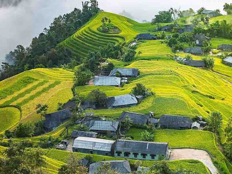 Hanoi - Ninh Binh - Bai Tu Long Bay - Sapa - Tour Package 5 Days 4 Nights